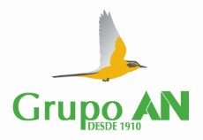 GRUPO AN