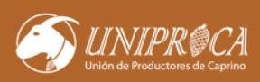 UNIPROCA