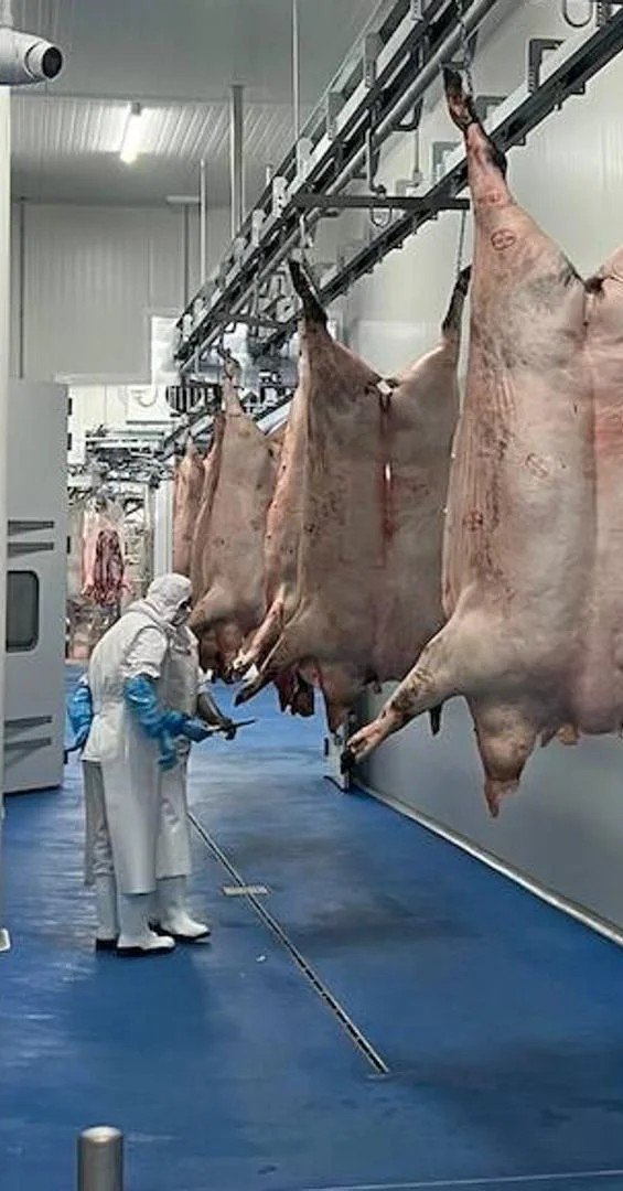 Canal ranurado tipo canalina de acero inoxidable INZA para drenaje oculto, solución higiénica para pavimentos continuos, ideal para separación de zona, alta resistencia al paso de carretillas o camiones